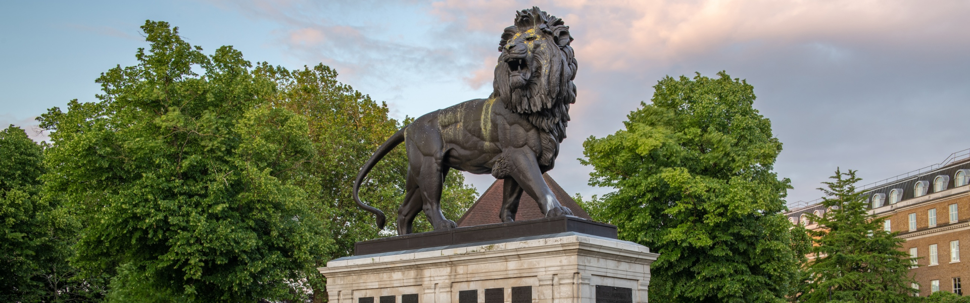 berkshire lion